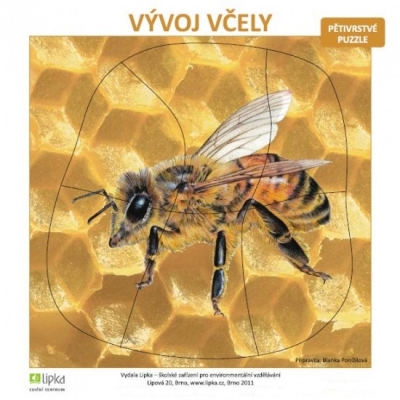Vývoj včely - puzzle (B. Ponížilová)