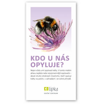 Kdo u nás opyluje